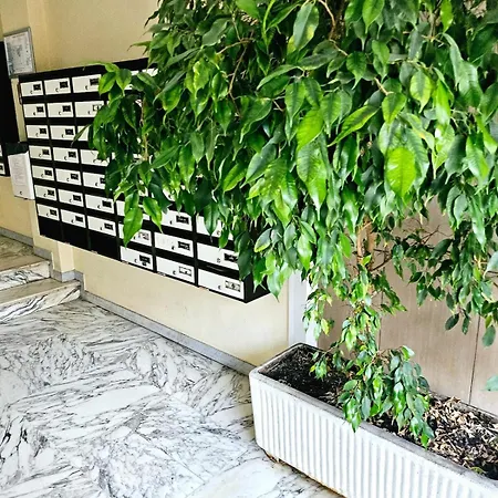 T1 Bord De Apartament